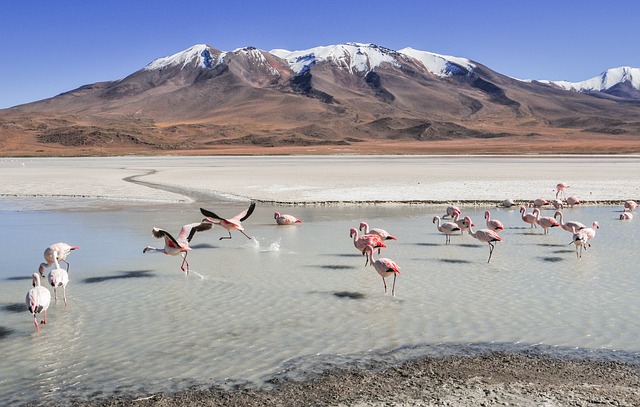 Bolivien